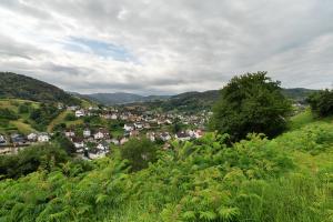 Gallery image of Ferienwohnung Hörth in Bühlertal
