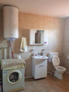 a bathroom with a washing machine and a sink at Casa Geo in Vadu