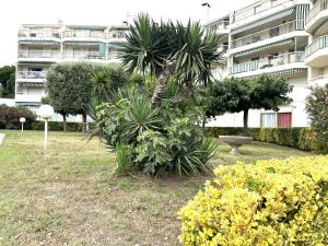 a garden with plants in front of a building at Studio bord de mer in Fréjus
