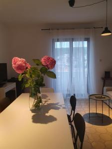 Fotografie z fotogalerie ubytování Apartment Laura v destinaci Tisno