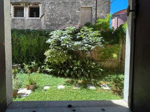 Zahrada ubytování Carbonaia Venezia