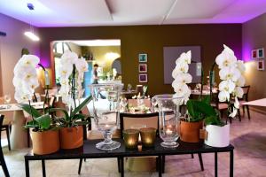 Fotografie z fotogalerie ubytování Le Mas Des Aigras - Hôtel & Restaurant de Charme en Provence v Orange + 37 fotografií