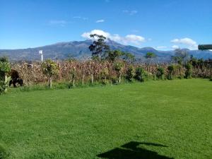Photo de la galerie de l'établissement Casa amplia y familiar, à Otavalo