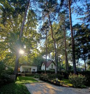 Foto dalla galleria di ŐzikeLak24 a Szigetmonostor