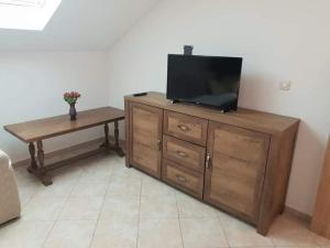 a flat screen tv sitting on top of a wooden dresser at Robinson Medvidina Bay in Zastražišće