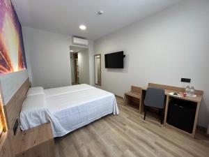 TV a/nebo společenská místnost v ubytování Hotel Javalambre