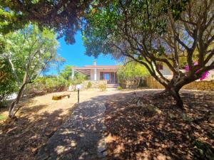 Taman di luar Villa Rubino - Santa Teresa Gallura