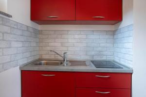 Kuchyň nebo kuchyňský kout v ubytování Apartment Poreč Anita