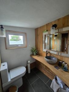 a bathroom with a sink and a toilet and a mirror at La'al Cabin, tiny home, unique space Eden Valley Cumbria in Brampton