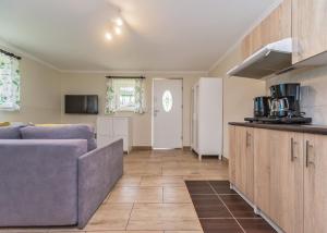 Kuchnia lub aneks kuchenny w obiekcie Willa Aleksandra - Apartamenty