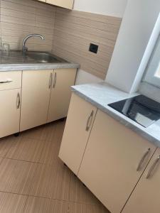 una cocina con fregadero y encimera en Aulona's Garden, en Vlorë