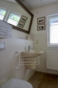 a bathroom with a sink and a toilet and a window at Ferienwohnung im Hochland in Kloster