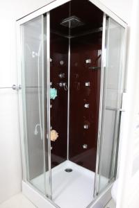 a walk in shower with a glass door at Mountain Garden House in Prizren +80 photos