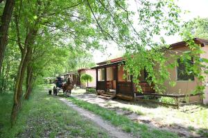 Imagen de la galería de Gidrán Major, en Újlengyel