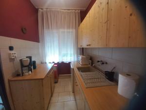 Kuchyňa alebo kuchynka v ubytovaní Budai Garden House