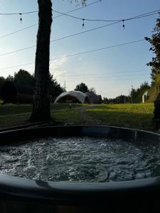 Φωτογραφία από το άλμπουμ του Park Zastawie σε Kielce