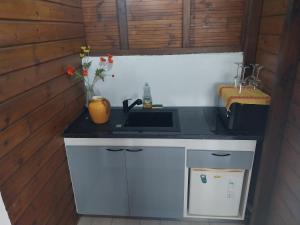 a kitchen with a sink and a counter top at Bungalow Steens in Le Gosier