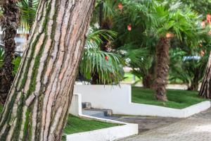 a group of palm trees in a park at Hotel Europa in Lido di Jesolo