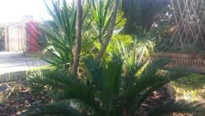 Giardino di El Manantial B&B