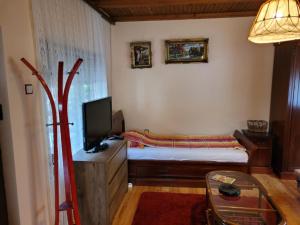 TV a/nebo společenská místnost v ubytování Apartman Đokić