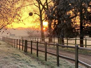 a fence in a field with the sunset in the background at Shepherd Huts on a Farmstay in Michelmersh