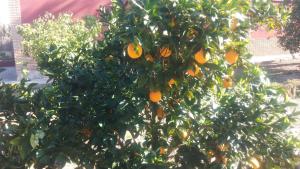 Giardino di El Manantial B&B
