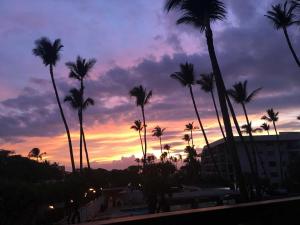 a group of palm trees in front of a sunset at Kihei Akahi Resort - Unit D114 in Wailea