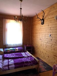 Fotografia z galérie ubytovania Złoty Kłos v destinácii Szklarska Poręba