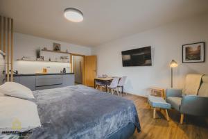 Kuchyň nebo kuchyňský kout v ubytování MINIMAX apartmán