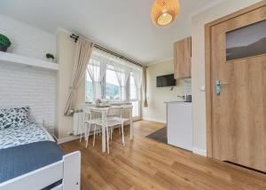 Kuchnia lub aneks kuchenny w obiekcie Willa Aleksandra - Apartamenty