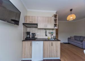 Kuchnia lub aneks kuchenny w obiekcie Willa Aleksandra - Apartamenty
