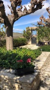 Jardin de l'établissement La Rose des Vins