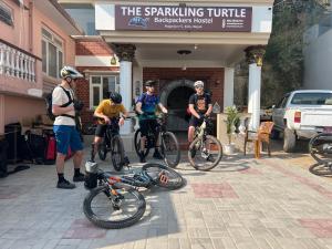 Tetamu yang menginap di The Sparkling Turtle Backpackers Hostel
