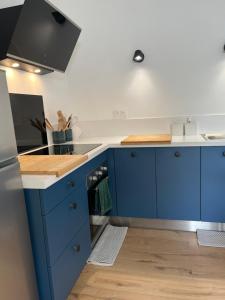 a kitchen with blue cabinets and a sink at Chez Gilles et Aline in Figeac +9 photos