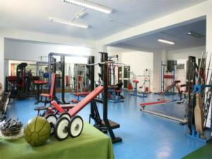 Fitness centrum a/nebo fitness zařízení v ubytování Hotel Serapo