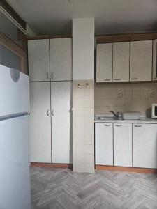 Kuchyň nebo kuchyňský kout v ubytování Cozy Sarajevo City Apartment
