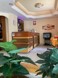 eine Bar in einem Restaurant mit Pflanzen in einem Zimmer in der Unterkunft Hotel Aurora in Vieste