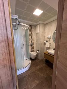 a bathroom with a shower and a toilet and a sink at Mavi Konak Alaçatı in Alacati