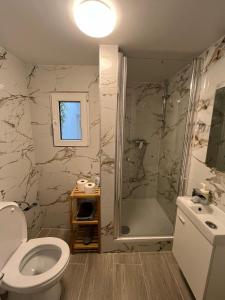 une salle de bain avec une douche, des toilettes et un lavabo dans l'établissement Rue blaes Appartement, à Bruxelles