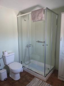 a bathroom with a shower and a toilet at La Granja de Juli in Ledesma +12 photos