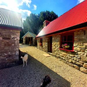 a cat standing next to a building with a red roof at Caitríona's Cottages - Adult Only Pet Friendly - Hot Tub, Sauna, Pool - Sleeps 4 in Rossinver
