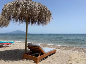 a chair under an umbrella on the beach at HOTEL IREON beach in Samos +24 photos