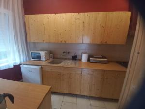 Kuchyňa alebo kuchynka v ubytovaní Budai Garden House