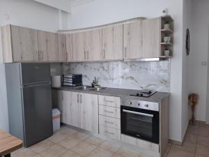 Kuchyň nebo kuchyňský kout v ubytování Alana apartment