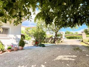 Zahrada ubytování Apartment Poreč