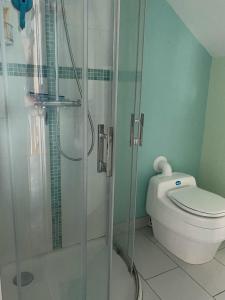 a bathroom with a toilet and a glass shower at Poulou Pyrénées in Gelos