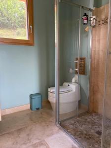 a bathroom with a toilet and a glass shower at Poulou Pyrénées in Gelos