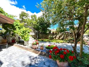 Zahrada ubytování Apartment Poreč