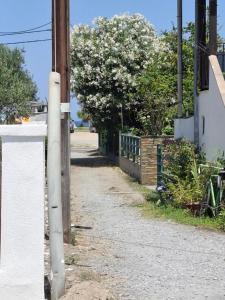 Fotografie z fotogalerie ubytování Alana apartment v destinaci Ierissós