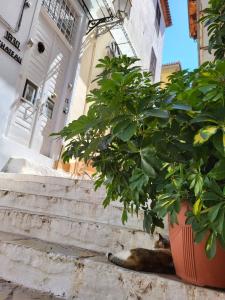 Fotografia z galérie ubytovania 1830 Chateau v destinácii Nafplio + 30 fotografií
